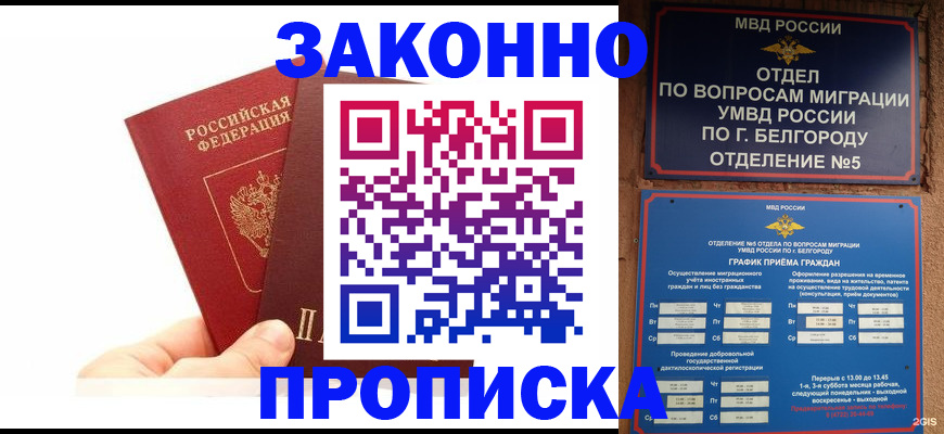 временная регистрация для школы в Губкинском